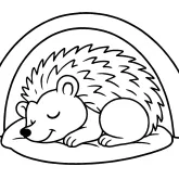 Huzurlu Uyuyan Kirpi boyama sayfası