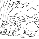 Mışıl Mışıl Uyuyan Aslan boyama sayfası